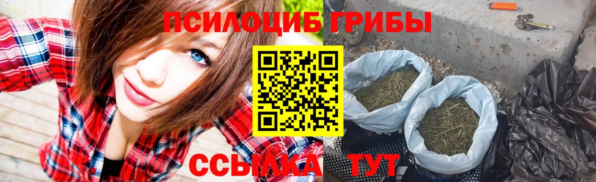 Галлюциногенные грибы GOLDEN TEACHER Саяногорск